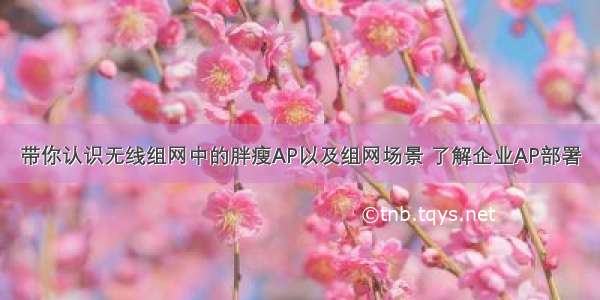 带你认识无线组网中的胖瘦AP以及组网场景 了解企业AP部署