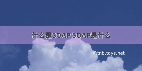 什么是SOAP SOAP是什么