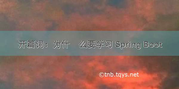 开篇词：为什什么要学习 Spring Boot