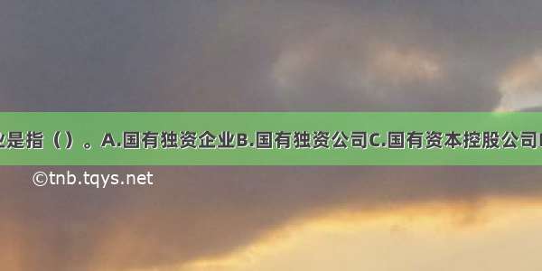 国家出资企业是指（）。A.国有独资企业B.国有独资公司C.国有资本控股公司D.国有资本参