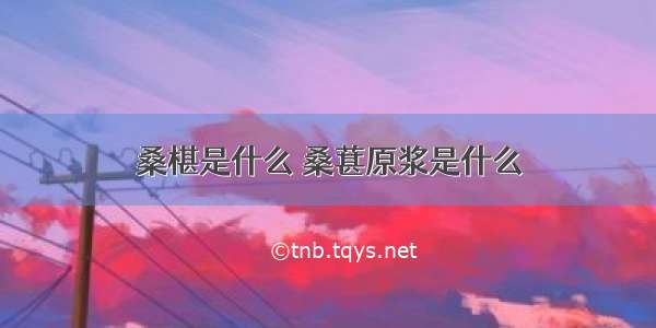 桑椹是什么 桑葚原浆是什么