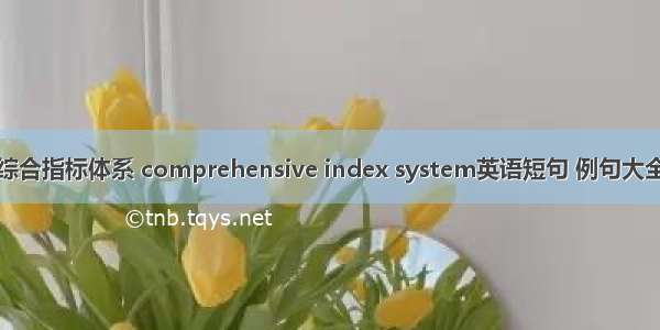 综合指标体系 comprehensive index system英语短句 例句大全