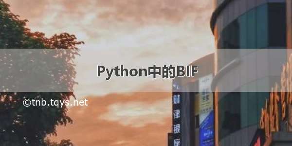 Python中的BIF