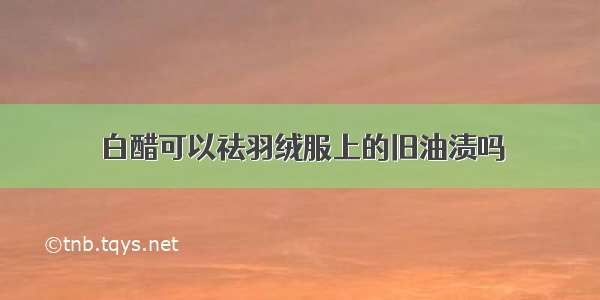 白醋可以祛羽绒服上的旧油渍吗