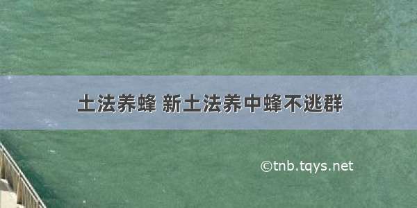 土法养蜂 新土法养中蜂不逃群