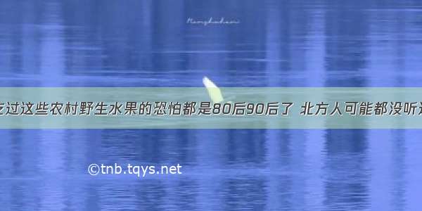 吃过这些农村野生水果的恐怕都是80后90后了 北方人可能都没听过