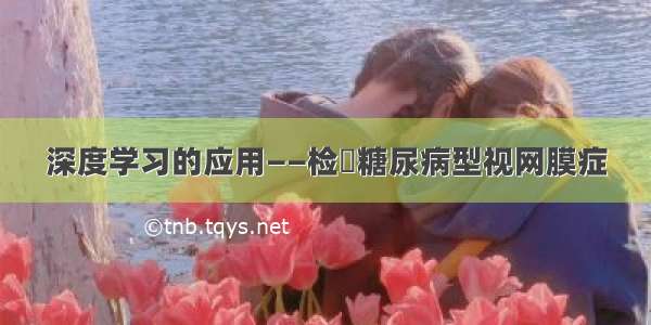 深度学习的应用——检測糖尿病型视网膜症