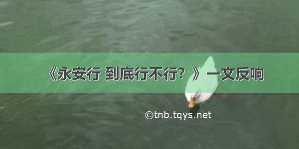 《永安行 到底行不行？》一文反响