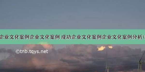 成功企业文化案例企业文化案例 成功企业文化案例企业文化案例分析(九篇)