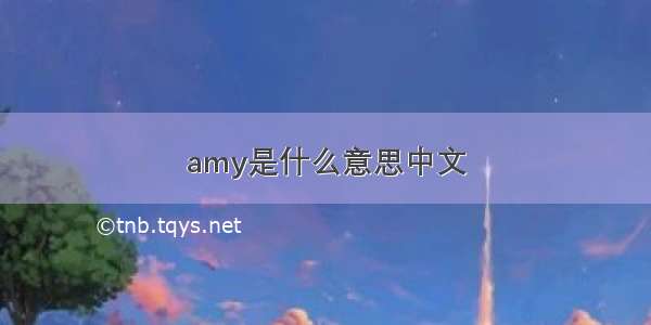 amy是什么意思中文