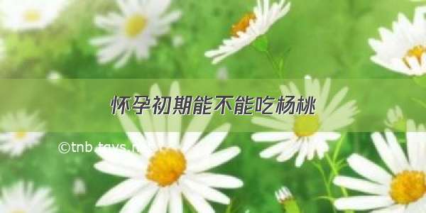 怀孕初期能不能吃杨桃