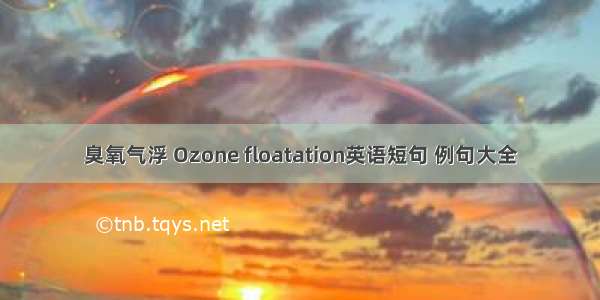 臭氧气浮 Ozone floatation英语短句 例句大全