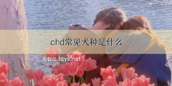 chd常见犬种是什么