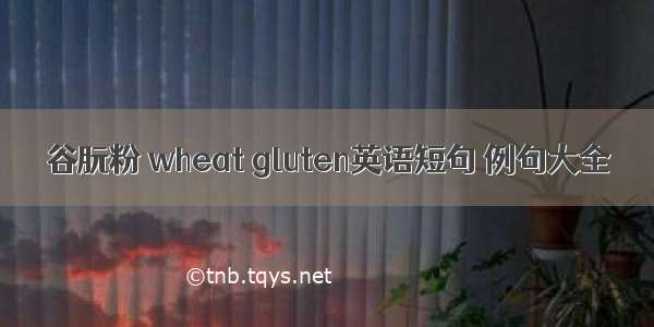 谷朊粉 wheat gluten英语短句 例句大全