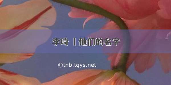 李琦 丨他们的名字