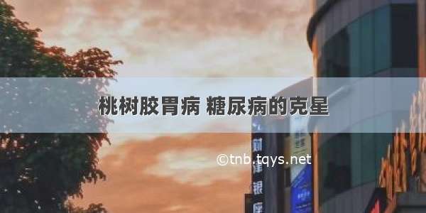 桃树胶胃病 糖尿病的克星