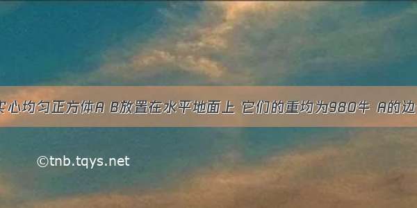 如图所示 实心均匀正方体A B放置在水平地面上 它们的重均为980牛 A的边长为0.25米