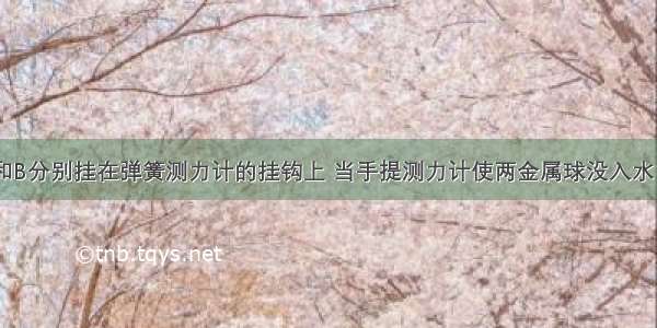 将金属球A和B分别挂在弹簧测力计的挂钩上 当手提测力计使两金属球没入水中时 两个弹