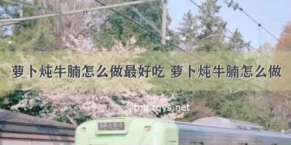 萝卜炖牛腩怎么做最好吃 萝卜炖牛腩怎么做