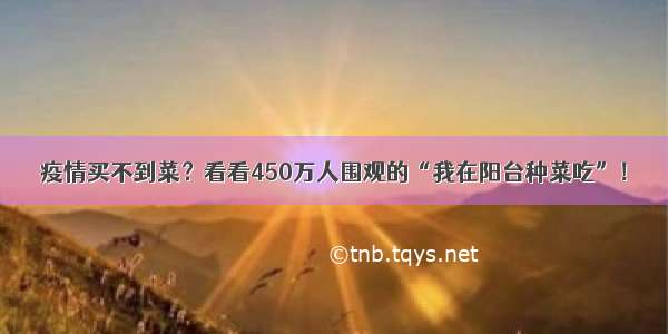 疫情买不到菜？看看450万人围观的“我在阳台种菜吃”！