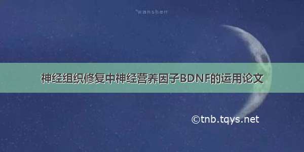 神经组织修复中神经营养因子BDNF的运用论文