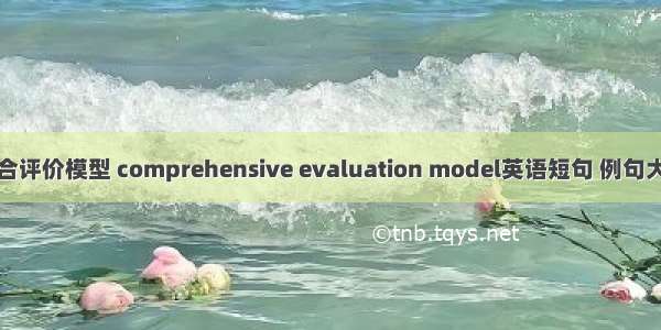 综合评价模型 comprehensive evaluation model英语短句 例句大全