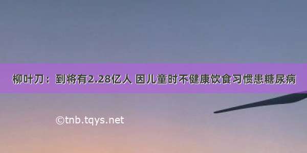 柳叶刀：到将有2.28亿人 因儿童时不健康饮食习惯患糖尿病