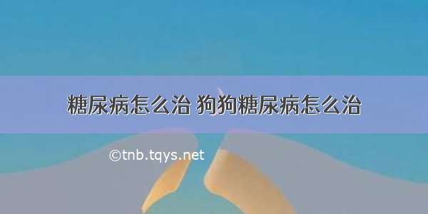 糖尿病怎么治 狗狗糖尿病怎么治