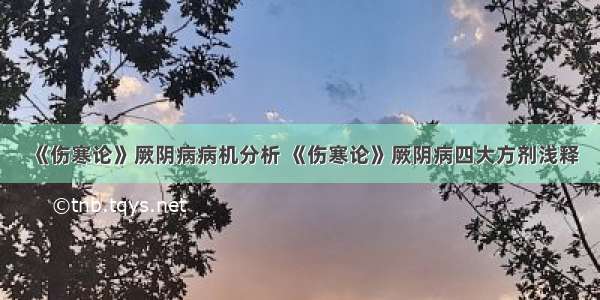 《伤寒论》厥阴病病机分析 《伤寒论》厥阴病四大方剂浅释