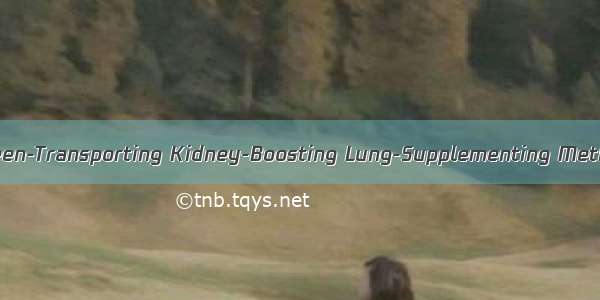 健脾补肾益肺法 The Spleen-Transporting Kidney-Boosting Lung-Supplementing Method英语短句 例句大全