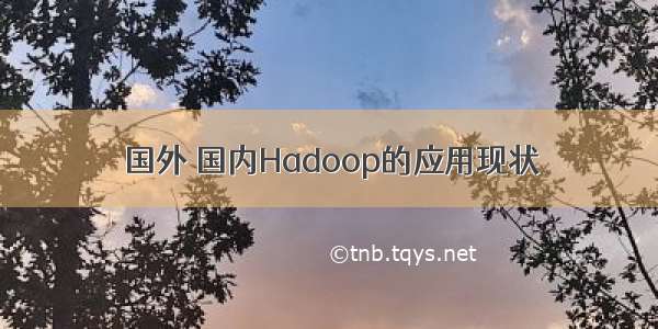 国外 国内Hadoop的应用现状
