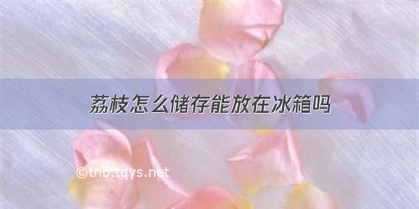 荔枝怎么储存能放在冰箱吗