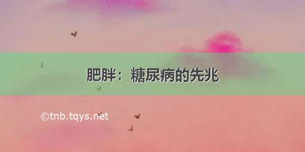 肥胖：糖尿病的先兆