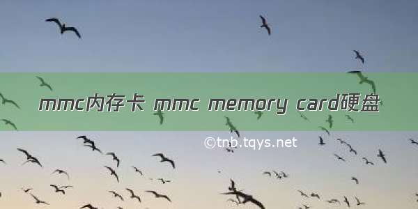 mmc内存卡 mmc memory card硬盘