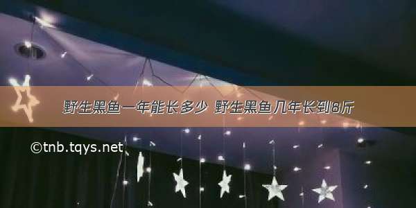 野生黑鱼一年能长多少 野生黑鱼几年长到8斤