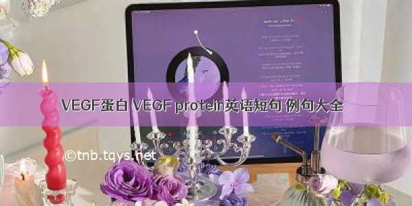 VEGF蛋白 VEGF protein英语短句 例句大全