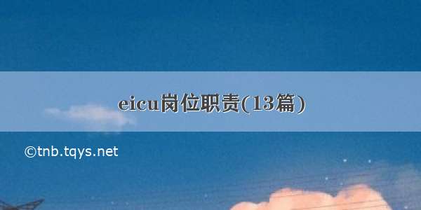 eicu岗位职责(13篇)