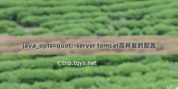 java_opts=quot;-server tomcat高并发的配置