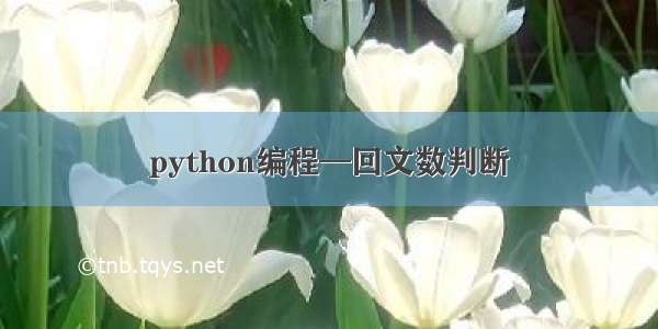 python编程—回文数判断