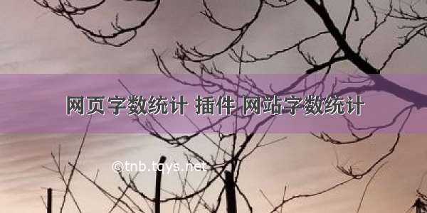 网页字数统计 插件 网站字数统计