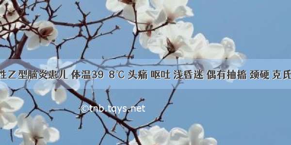 流行性乙型脑炎患儿 体温39．8℃ 头痛 呕吐 浅昏迷 偶有抽搐 颈硬 克氏征 布