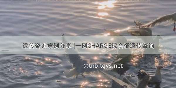 遗传咨询病例分享 |一例CHARGE综合征遗传咨询