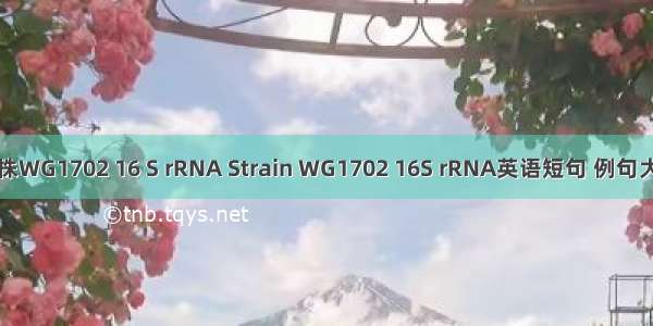 菌株WG1702 16 S rRNA Strain WG1702 16S rRNA英语短句 例句大全