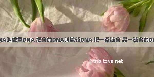 如果把含的DNA叫做重DNA 把含的DNA叫做轻DNA 把一条链含 另一链含的DNA分子叫做中