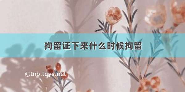 拘留证下来什么时候拘留