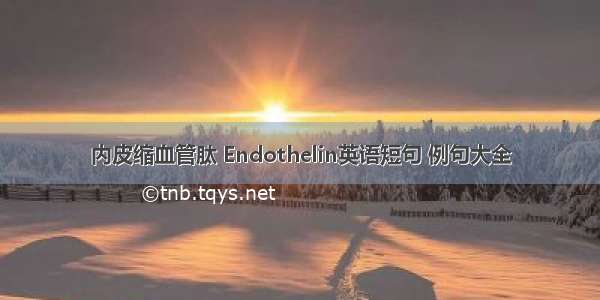 内皮缩血管肽 Endothelin英语短句 例句大全