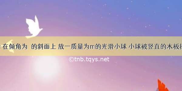 如图所示 在倾角为α的斜面上 放一质量为m的光滑小球 小球被竖直的木板挡住 则球