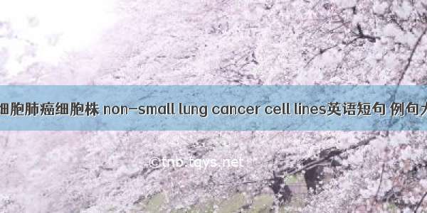 非小细胞肺癌细胞株 non-small lung cancer cell lines英语短句 例句大全