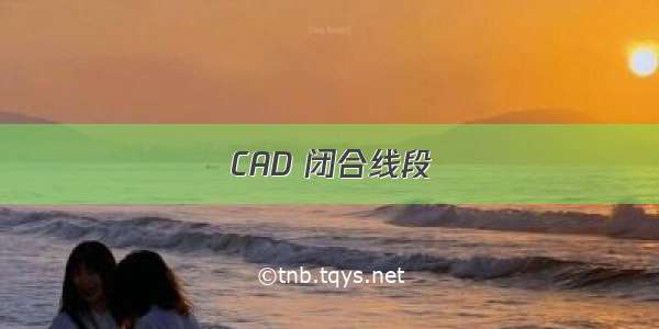 CAD 闭合线段