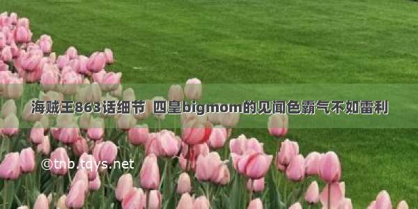 海贼王863话细节  四皇bigmom的见闻色霸气不如雷利